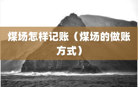 煤场怎样记账（煤场的做账方式）