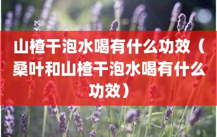 山楂干泡水喝有什么功效（桑叶和山楂干泡水喝有什么功效）