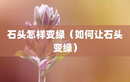 石头怎样变绿（如何让石头变绿）
