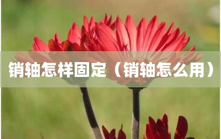 销轴怎样固定（销轴怎么用）