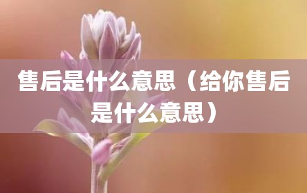 售后是什么意思（给你售后是什么意思）