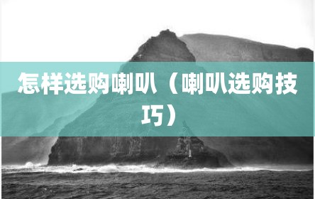 怎样选购喇叭（喇叭选购技巧）