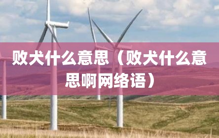 败犬什么意思（败犬什么意思啊网络语）