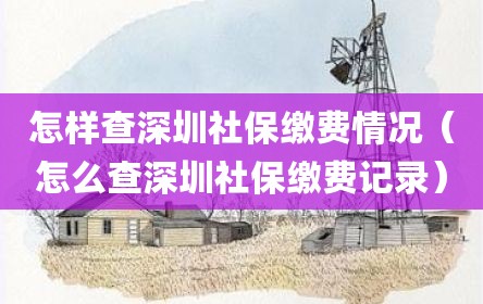 怎样查深圳社保缴费情况（怎么查深圳社保缴费记录）