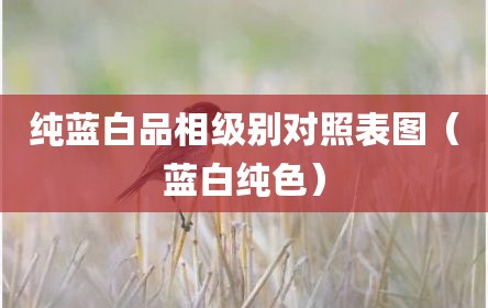 纯蓝白品相级别对照表图（蓝白纯色）