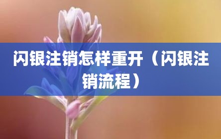 闪银注销怎样重开（闪银注销流程）