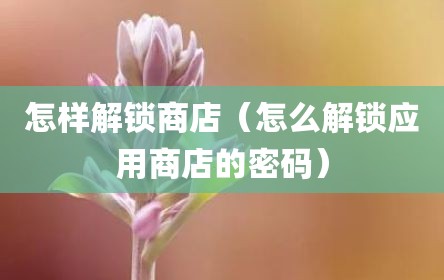 怎样解锁商店（怎么解锁应用商店的密码）