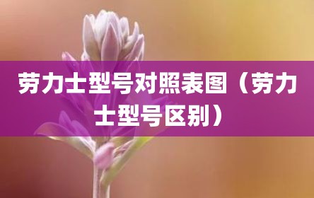 劳力士型号对照表图（劳力士型号区别）