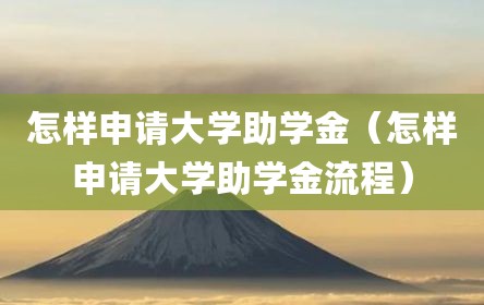 怎样申请大学助学金（怎样申请大学助学金流程）