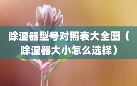 除湿器型号对照表大全图（除湿器大小怎么选择）