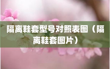 隔离鞋套型号对照表图（隔离鞋套图片）