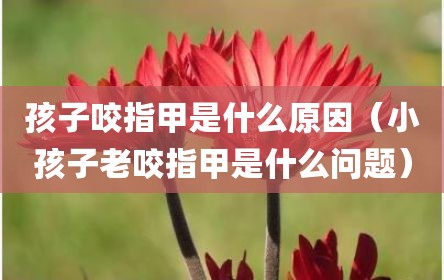孩子咬指甲是什么原因（小孩子老咬指甲是什么问题）