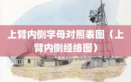 上臂内侧字母对照表图（上臂内侧经络图）