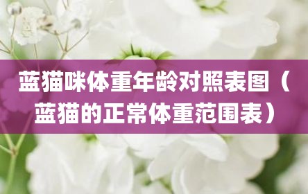 蓝猫咪体重年龄对照表图（蓝猫的正常体重范围表）