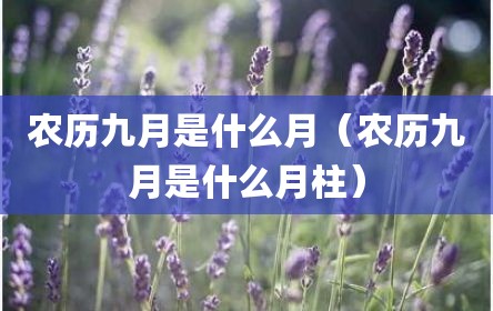 农历九月是什么月（农历九月是什么月柱）