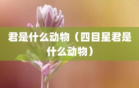君是什么动物（四目星君是什么动物）