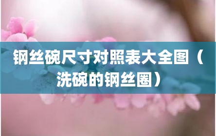 钢丝碗尺寸对照表大全图（洗碗的钢丝圈）