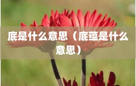 底是什么意思（底蕴是什么意思）
