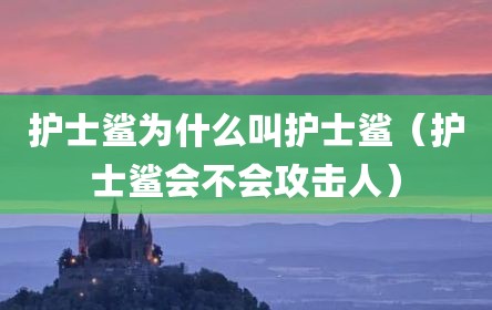护士鲨为什么叫护士鲨（护士鲨会不会攻击人）