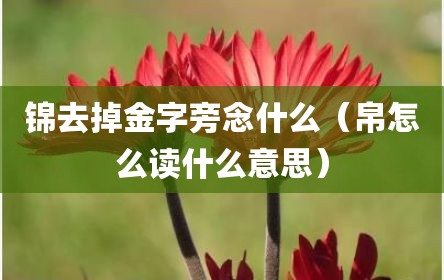 锦去掉金字旁念什么（帛怎么读什么意思）