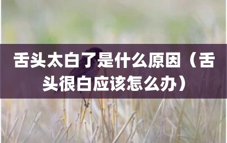 舌头太白了是什么原因（舌头很白应该怎么办）