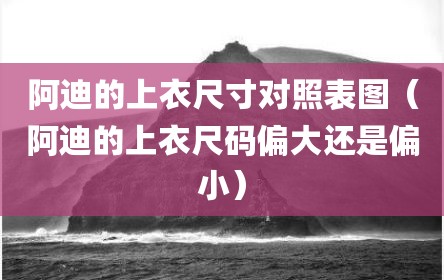 阿迪的上衣尺寸对照表图（阿迪的上衣尺码偏大还是偏小）