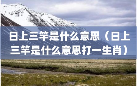 日上三竿是什么意思（日上三竿是什么意思打一生肖）