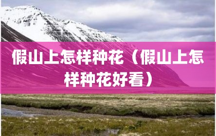假山上怎样种花（假山上怎样种花好看）