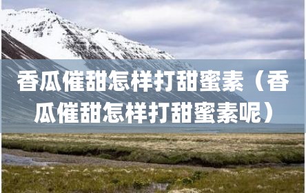 香瓜催甜怎样打甜蜜素（香瓜催甜怎样打甜蜜素呢）
