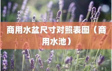 商用水盆尺寸对照表图（商用水池）