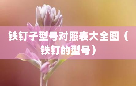 铁钉子型号对照表大全图（铁钉的型号）