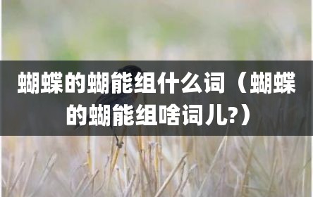蝴蝶的蝴能组什么词（蝴蝶的蝴能组啥词儿?）