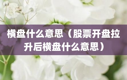 横盘什么意思（股票开盘拉升后横盘什么意思）