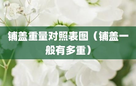 铺盖重量对照表图（铺盖一般有多重）