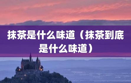 抹茶是什么味道（抹茶到底是什么味道）