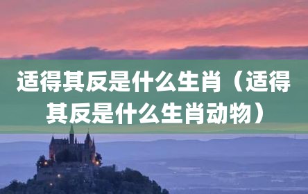 适得其反是什么生肖（适得其反是什么生肖动物）