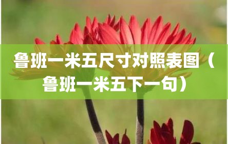 鲁班一米五尺寸对照表图（鲁班一米五下一句）