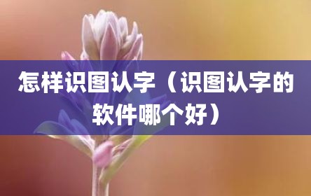 怎样识图认字（识图认字的软件哪个好）