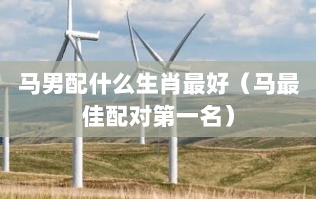 马男配什么生肖最好（马最佳配对第一名）