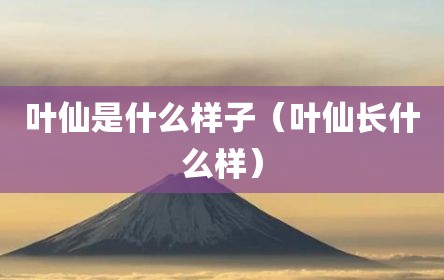 叶仙是什么样子（叶仙长什么样）