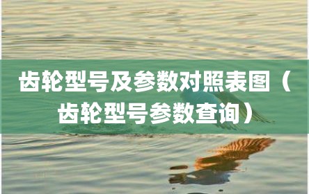 齿轮型号及参数对照表图（齿轮型号参数查询）