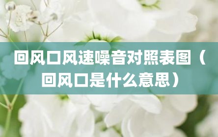 回风口风速噪音对照表图（回风口是什么意思）