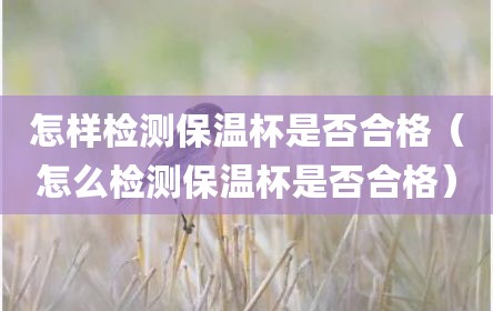怎样检测保温杯是否合格（怎么检测保温杯是否合格）
