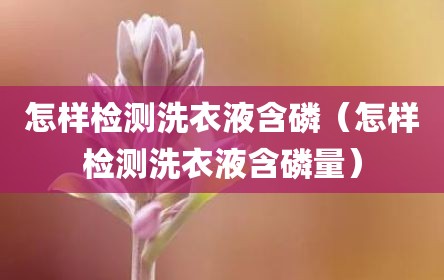 怎样检测洗衣液含磷（怎样检测洗衣液含磷量）