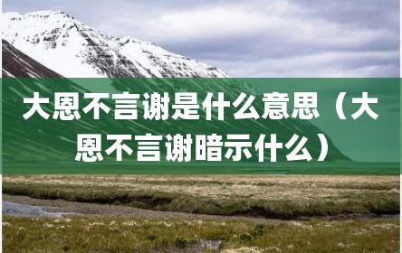 大恩不言谢是什么意思（大恩不言谢暗示什么）