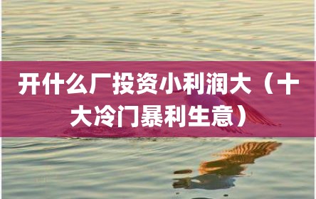 开什么厂投资小利润大（十大冷门暴利生意）
