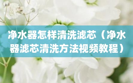 净水器怎样清洗滤芯（净水器滤芯清洗方法视频教程）