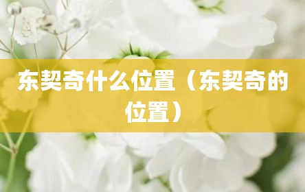 东契奇什么位置（东契奇的位置）