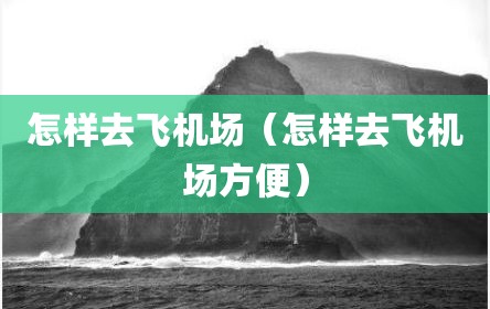 怎样去飞机场（怎样去飞机场方便）