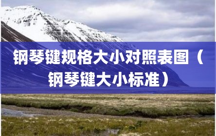 钢琴键规格大小对照表图（钢琴键大小标准）